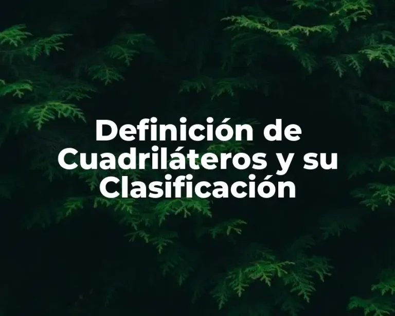 Definición de Cuadriláteros y su Clasificación