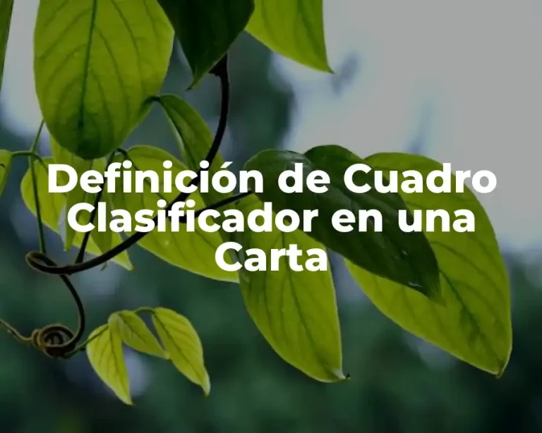 Definición de Cuadro Clasificador en una Carta