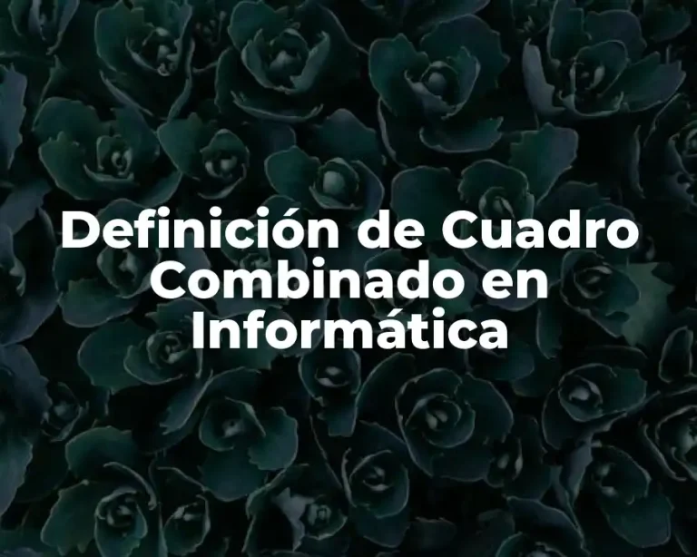 Definición de Cuadro Combinado en Informática