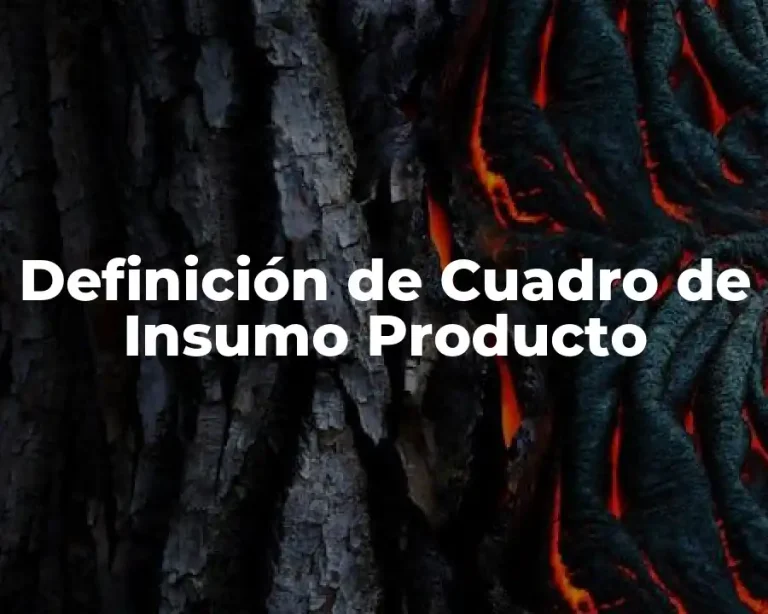 Definición de Cuadro de Insumo Producto