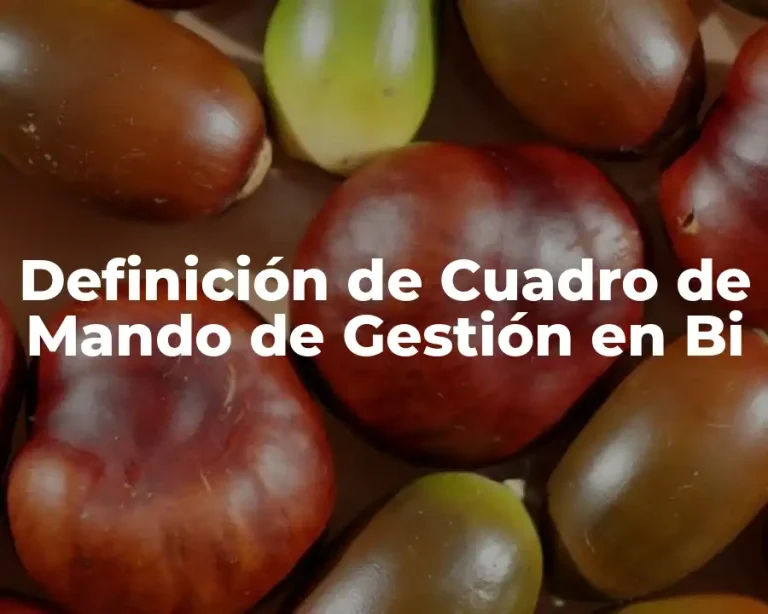 Definición de Cuadro de Mando de Gestión en Bi