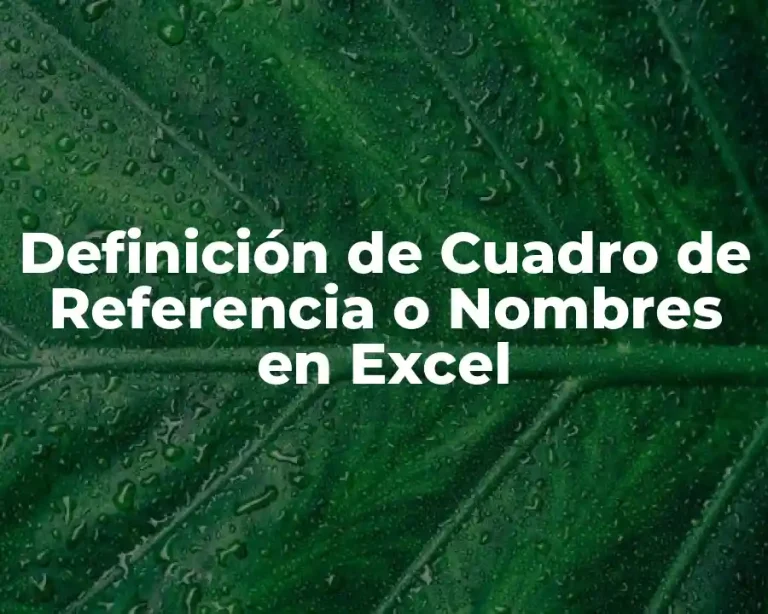 Definición de Cuadro de Referencia o Nombres en Excel