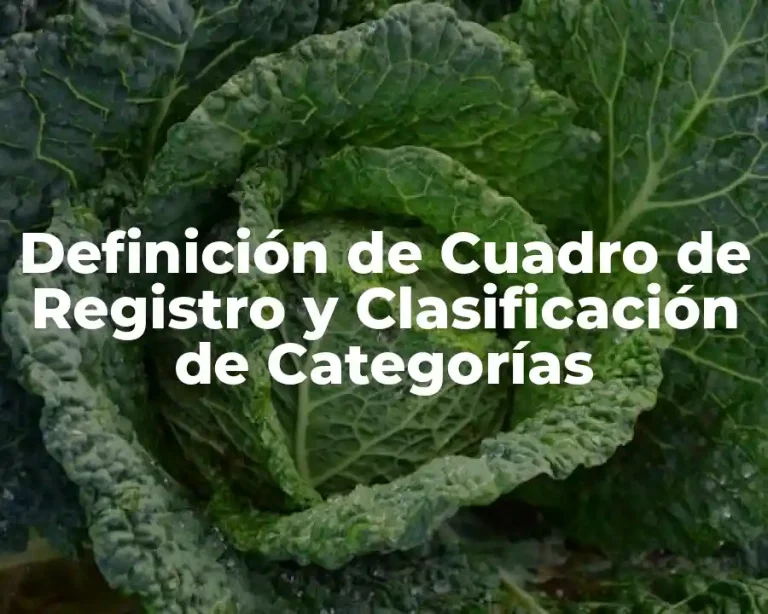 Definición de Cuadro de Registro y Clasificación de Categorías