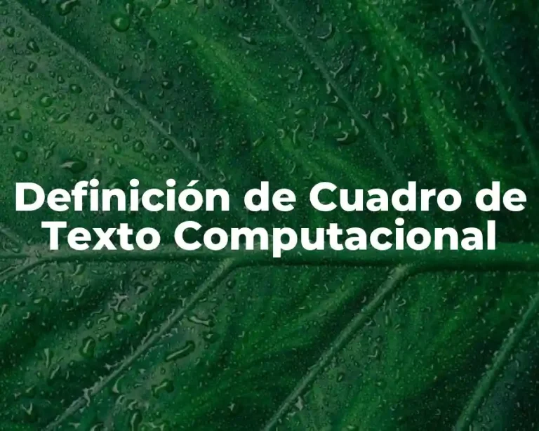 Definición de Cuadro de Texto Computacional