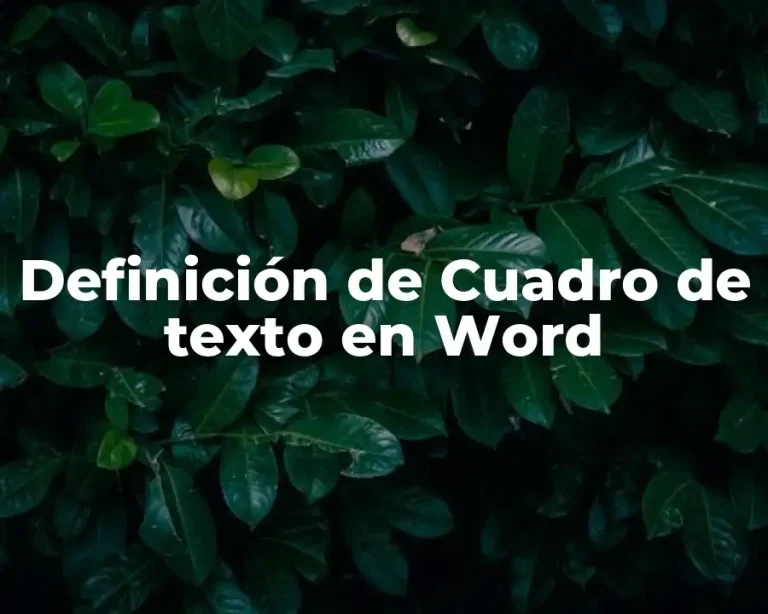 Definición de Cuadro de texto en Word