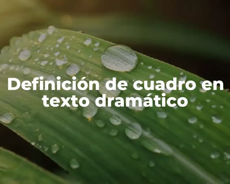 Definición de cuadro en texto dramático
