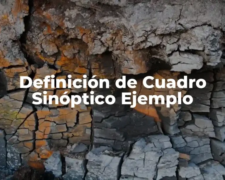 Definición de Cuadro Sinóptico Ejemplo