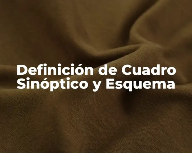 Definición de Cuadro Sinóptico y Esquema