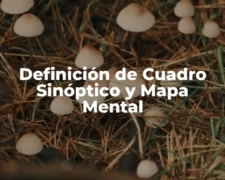 Definición de Cuadro Sinóptico y Mapa Mental
