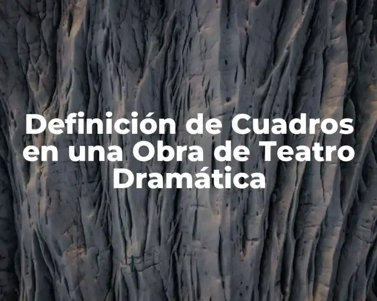 Definición de Cuadros en una Obra de Teatro Dramática