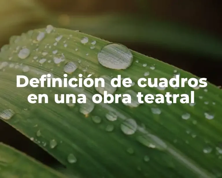 Definición de cuadros en una obra teatral