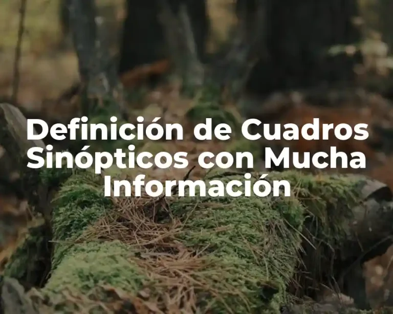 Definición de Cuadros Sinópticos con Mucha Información