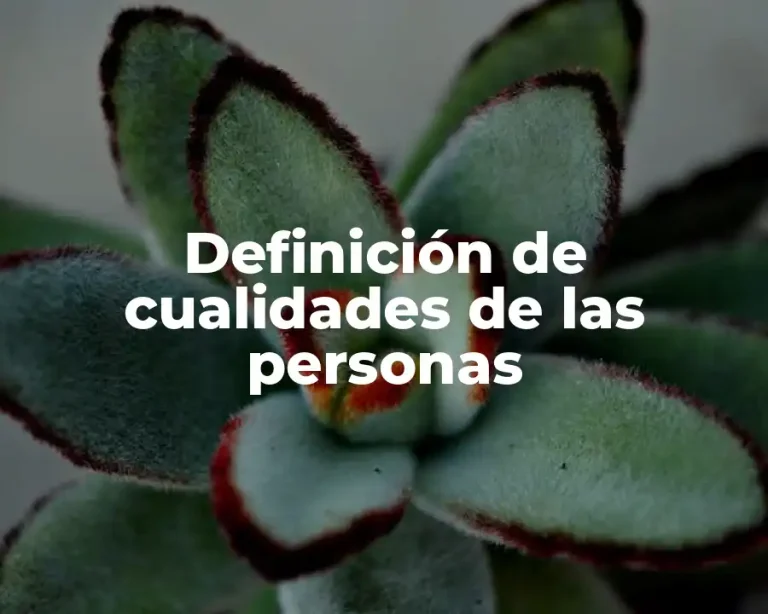 Definición de cualidades de las personas
