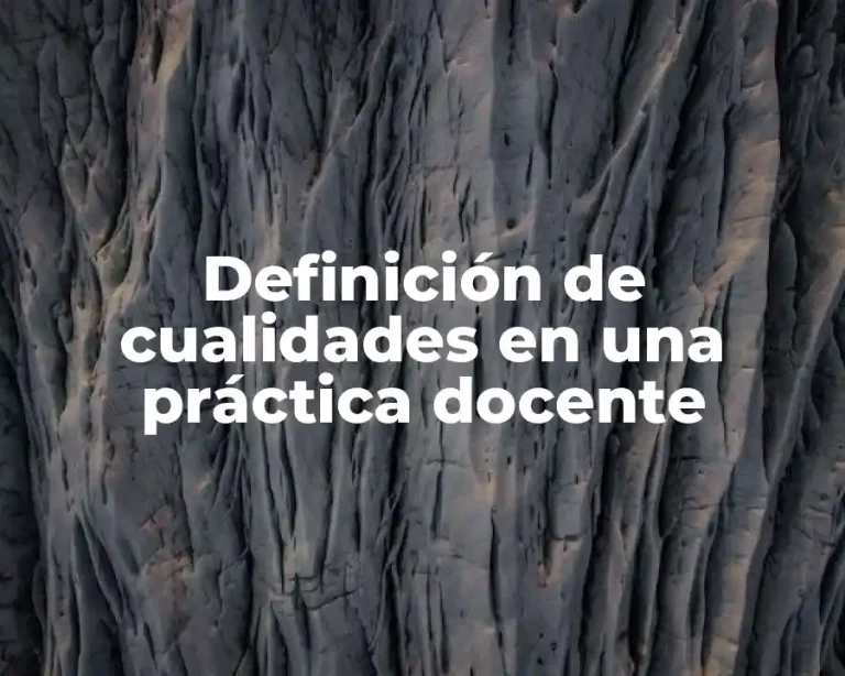 Definición de cualidades en una práctica docente