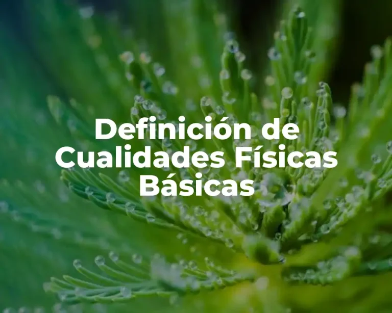 Definición de Cualidades Físicas Básicas