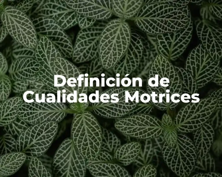 Definición de Cualidades Motrices