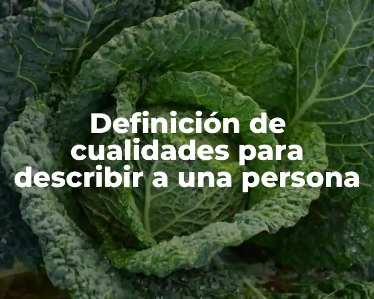 Definición de cualidades para describir a una persona