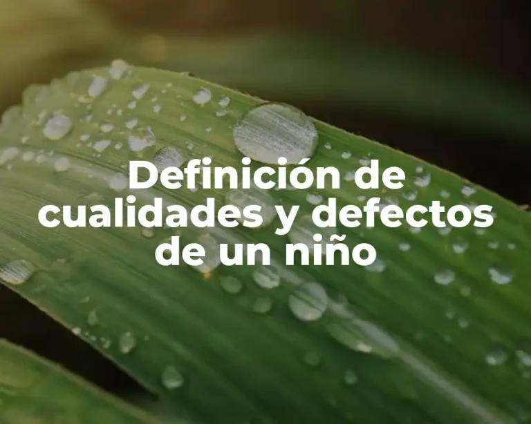 Definición de cualidades y defectos de un niño