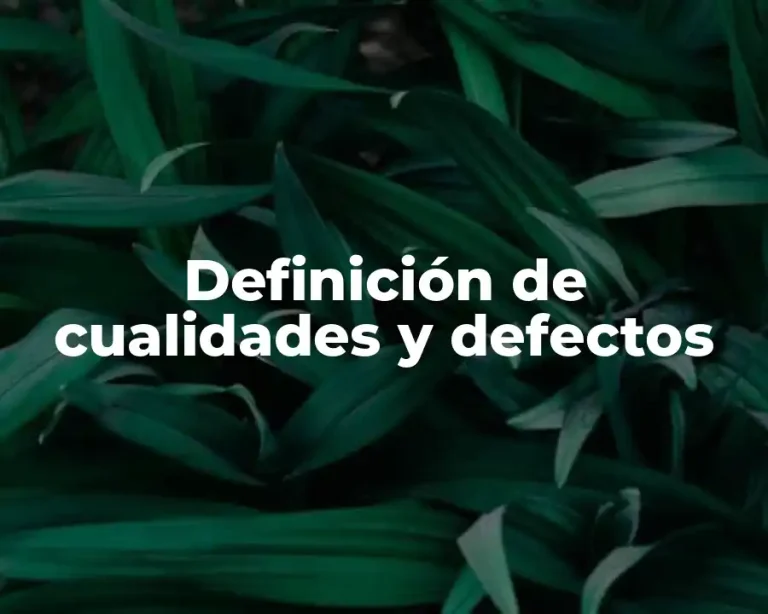 Definición de cualidades y defectos
