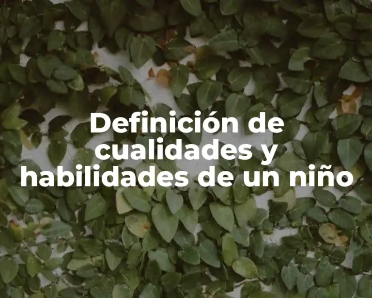 Definición de cualidades y habilidades de un niño
