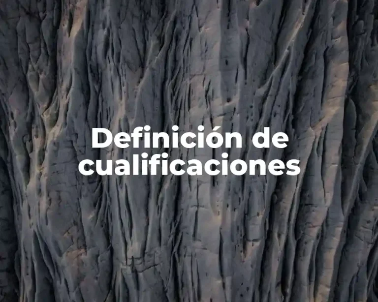 Definición de cualificaciones