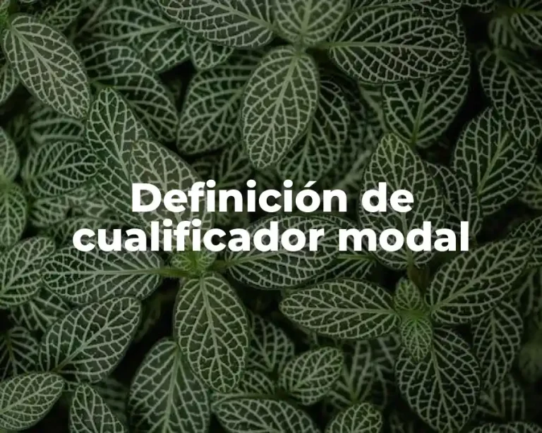 Definición de cualificador modal