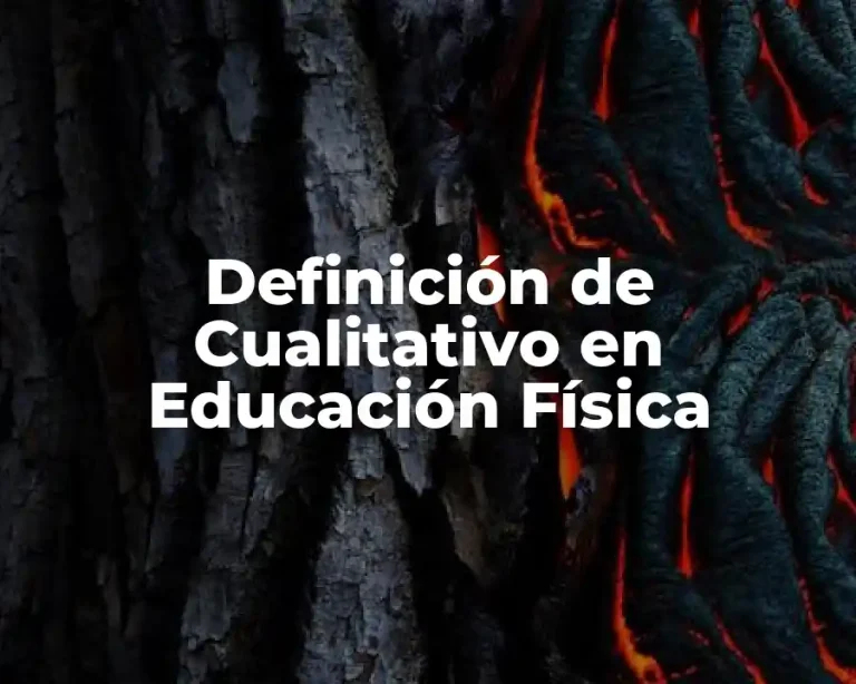 Definición de Cualitativo en Educación Física