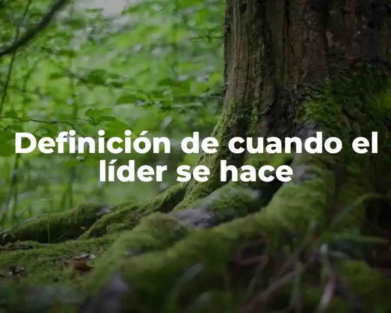 Definición de cuando el líder se hace