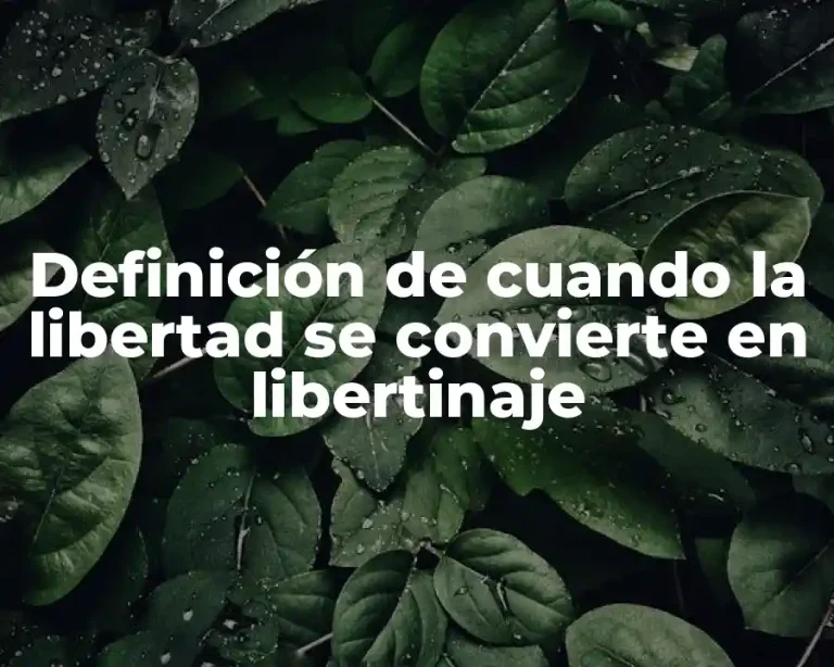 Definición de cuando la libertad se convierte en libertinaje