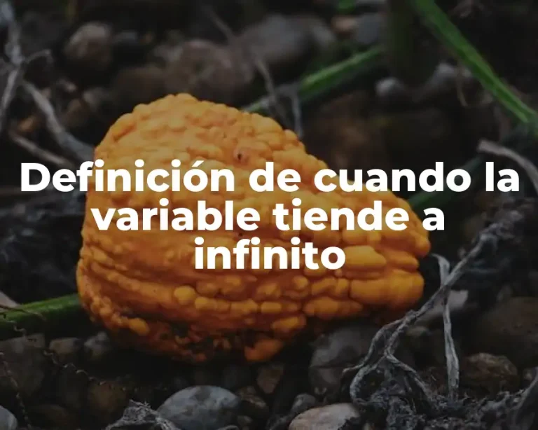 Definición de cuando la variable tiende a infinito