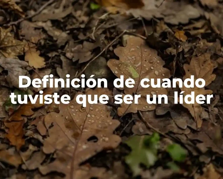 Definición de cuando tuviste que ser un líder