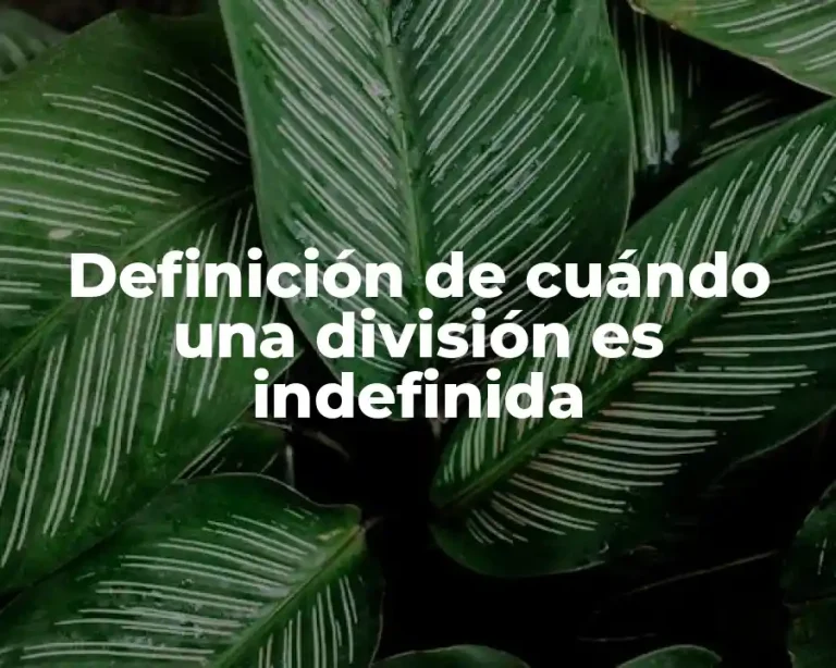 Definición de cuándo una división es indefinida