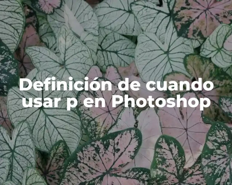 Definición de cuando usar p en Photoshop