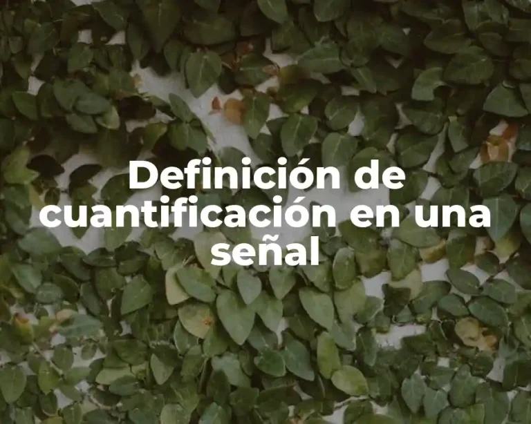 Definición de cuantificación en una señal