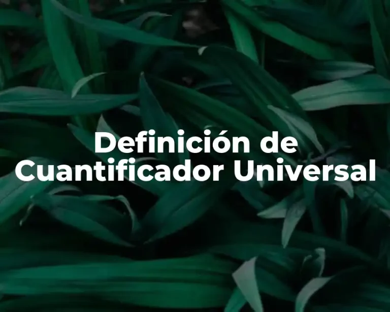 Definición de Cuantificador Universal
