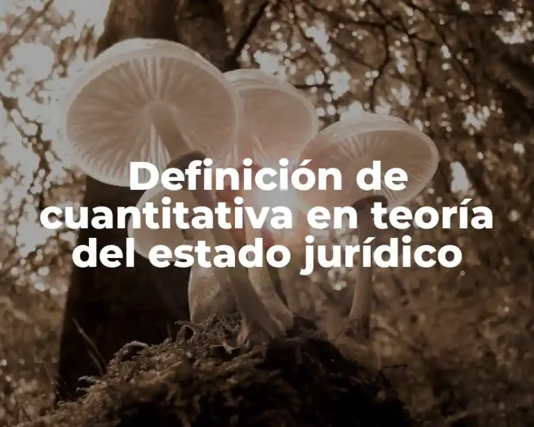Definición de cuantitativa en teoría del estado jurídico