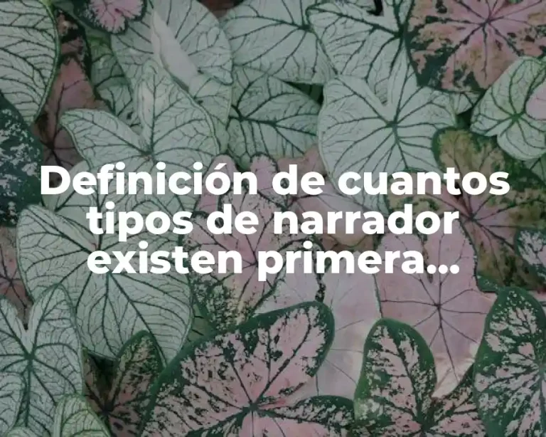 Definición de cuantos tipos de narrador existen primera persona