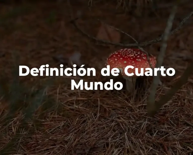 Definición de Cuarto Mundo