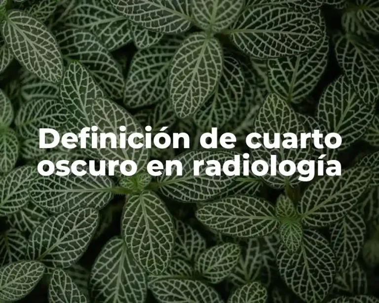 Definición de cuarto oscuro en radiología