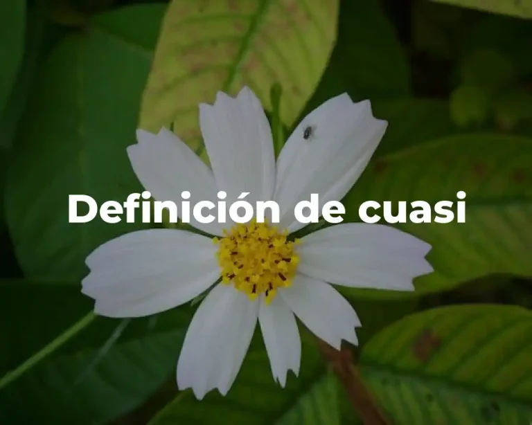 Definición de cuasi