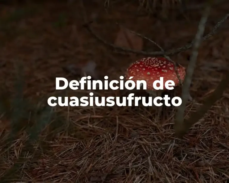 Definición de cuasiusufructo