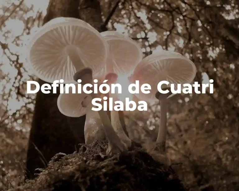 Definición de Cuatri Silaba