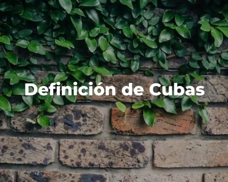 Definición de Cubas