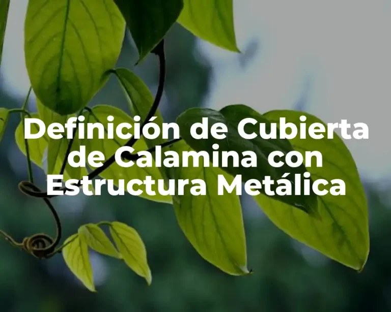 Definición de Cubierta de Calamina con Estructura Metálica