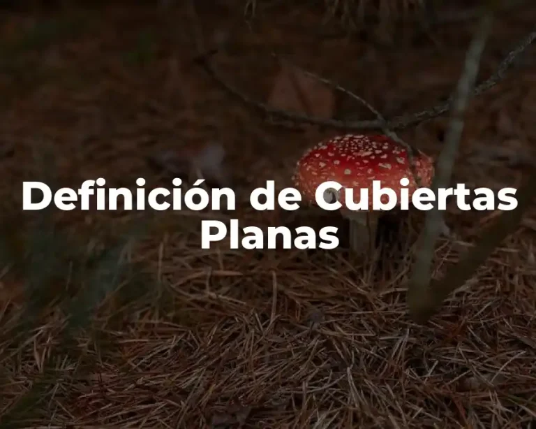 Definición de Cubiertas Planas