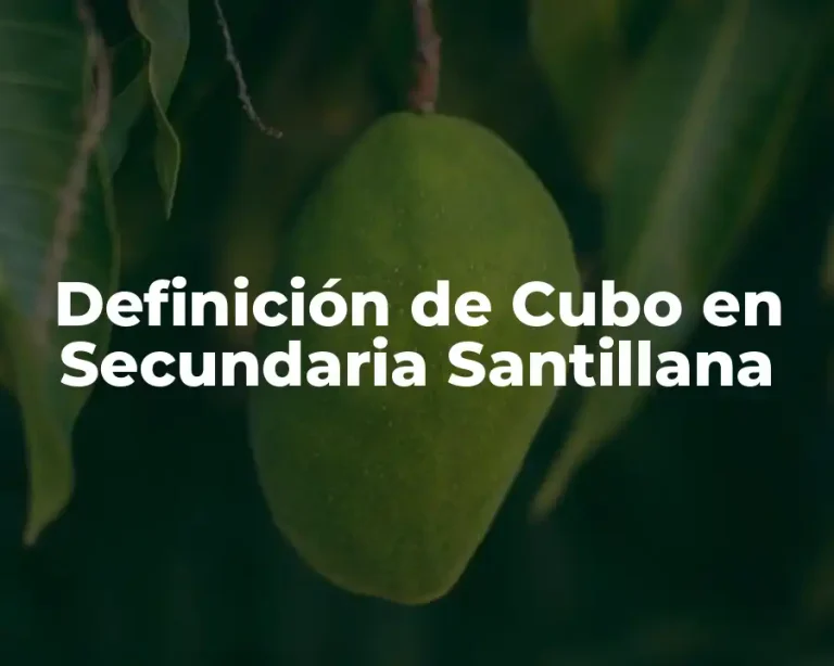 Definición de Cubo en Secundaria Santillana
