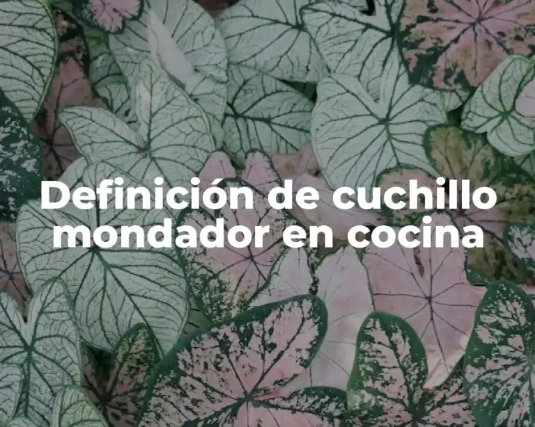 Definición de cuchillo mondador en cocina