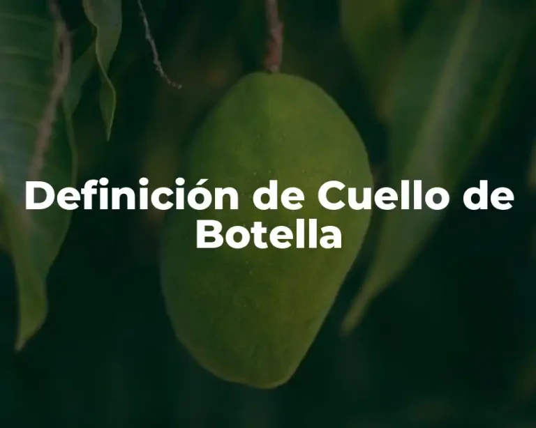 Definición de Cuello de Botella