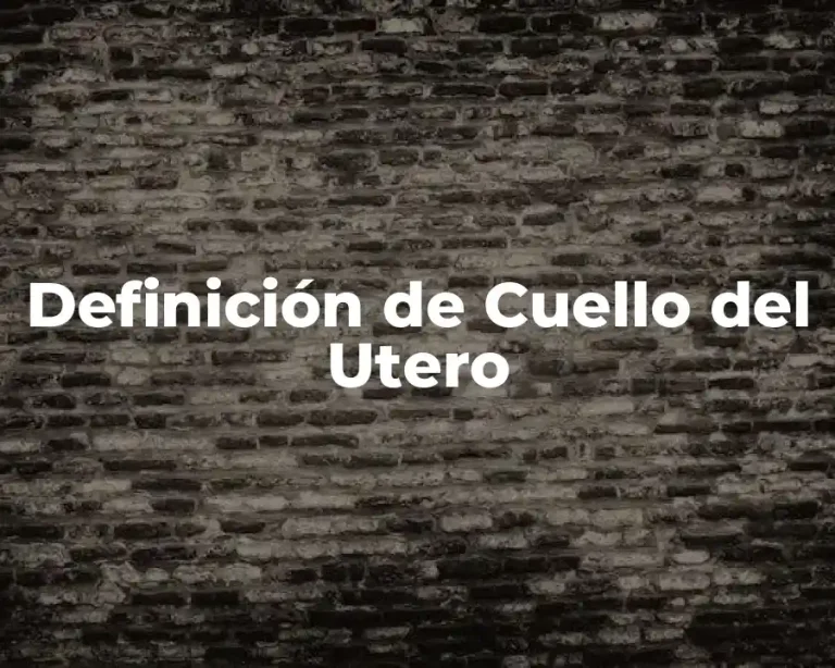 Definición de Cuello del Utero