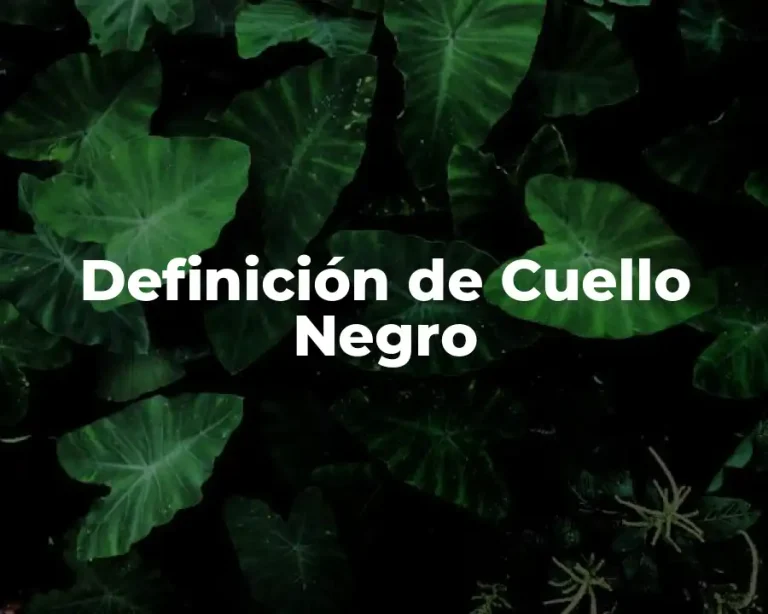 Definición de Cuello Negro